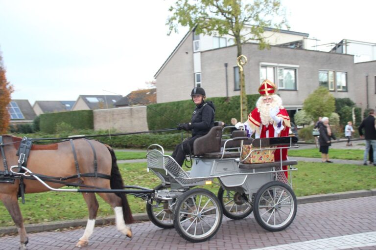 Sinterklaasintocht 2026 — familie-kids in Biddinghuizen