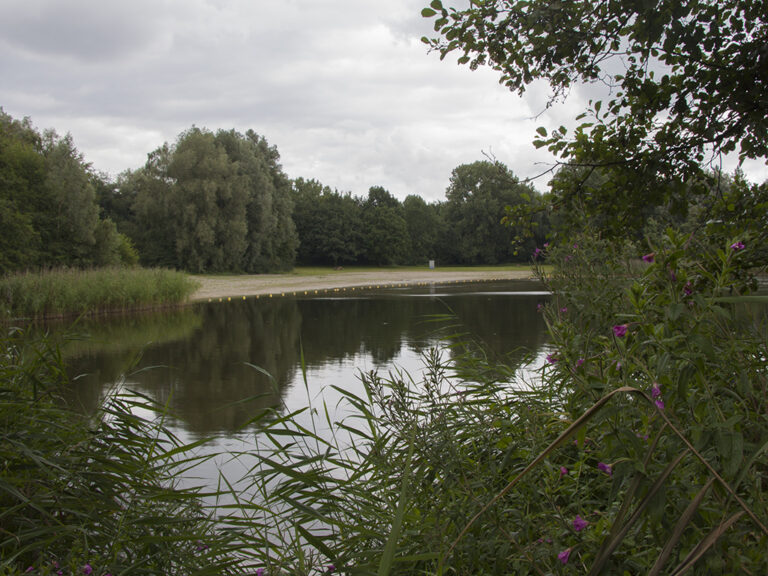 IVN gaat op ontdekkingstocht rond de Spijkvijver — natuur in Biddinghuizen