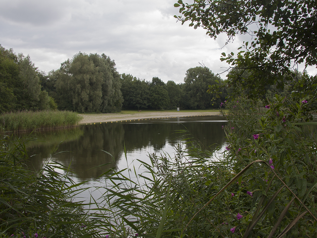 IVN gaat op ontdekkingstocht rond de Spijkvijver in Biddinghuizen